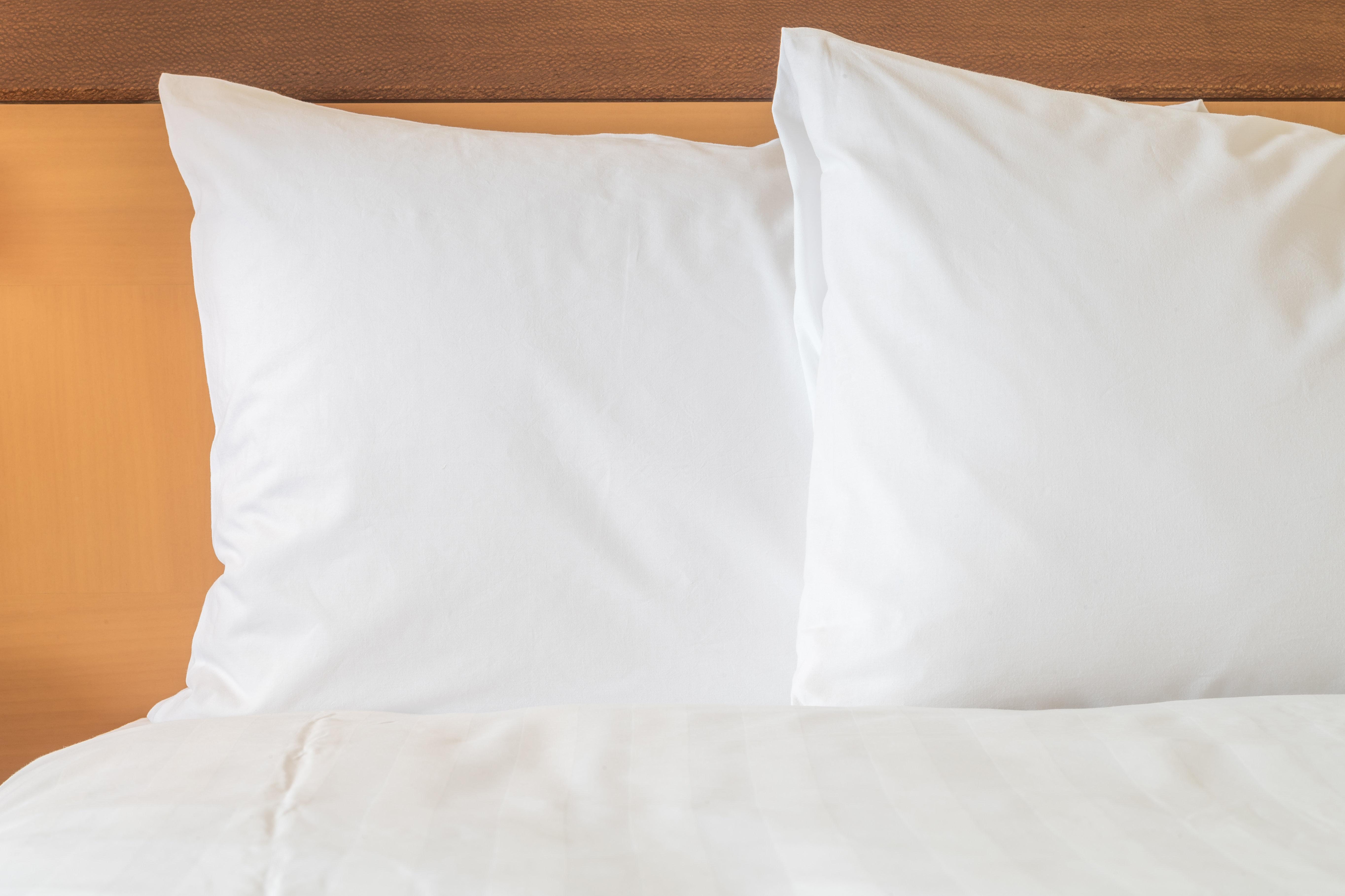 Holiday Inn Express Hotel & Suites North Bay By Ihg Exteriér fotografie
